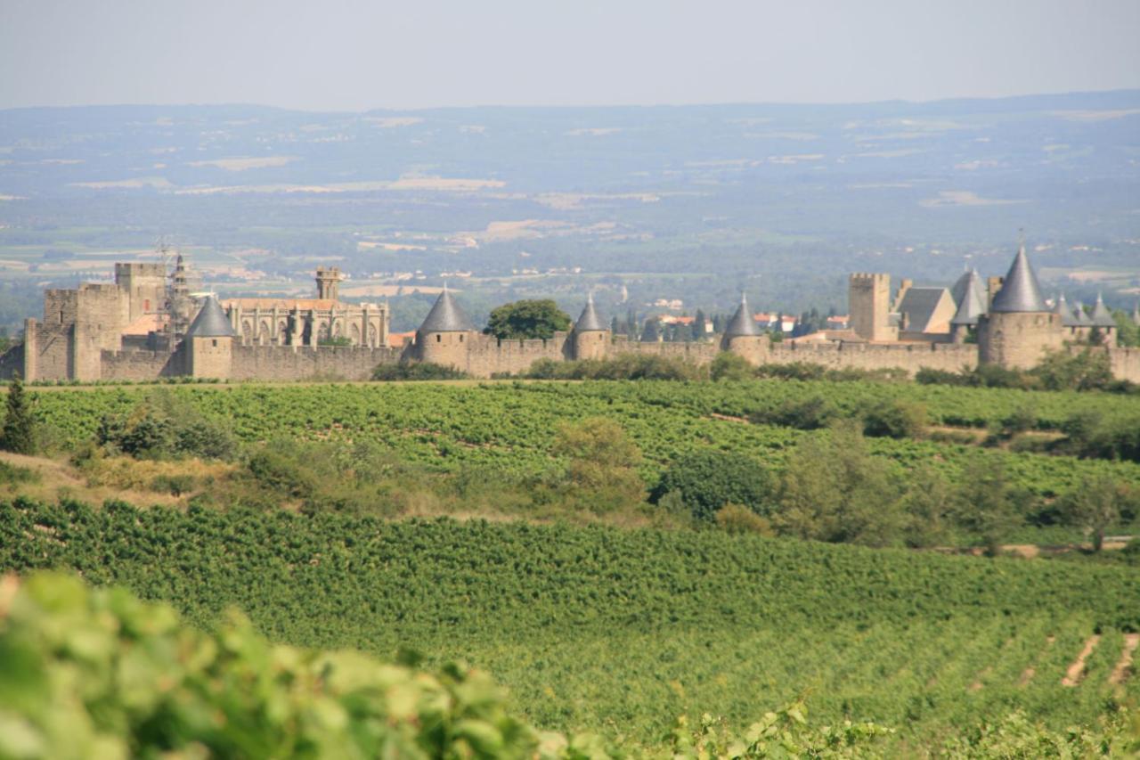 La Maison Sur La Colline Carcassonne Buitenkant foto